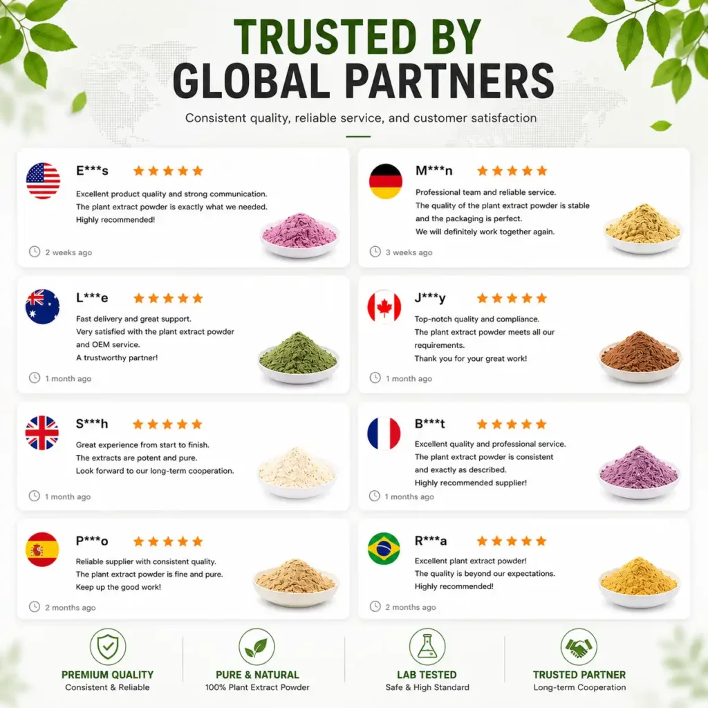 Quercetin Extract Powder 98% plant extact7